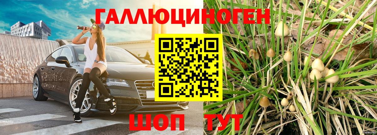 Галлюциногенные грибы прущие грибы  Вход с VPN  Псилоцибиновые грибы Psilocybe  Соликамск 