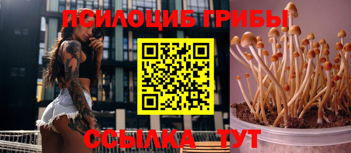 Псилоцибиновые грибы ЛСД Соликамск